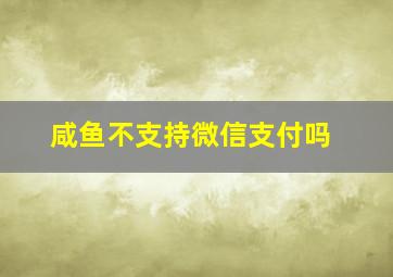 咸鱼不支持微信支付吗