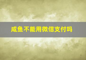 咸鱼不能用微信支付吗