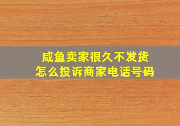 咸鱼卖家很久不发货怎么投诉商家电话号码