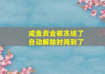 咸鱼资金被冻结了自动解除时间到了