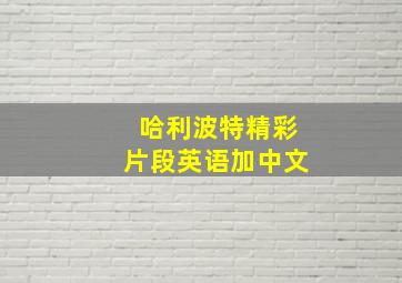 哈利波特精彩片段英语加中文