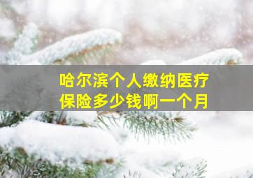 哈尔滨个人缴纳医疗保险多少钱啊一个月