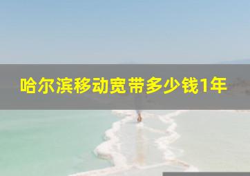 哈尔滨移动宽带多少钱1年