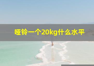 哑铃一个20kg什么水平