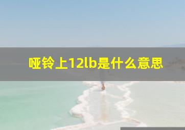 哑铃上12lb是什么意思