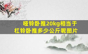 哑铃卧推20kg相当于杠铃卧推多少公斤呢图片