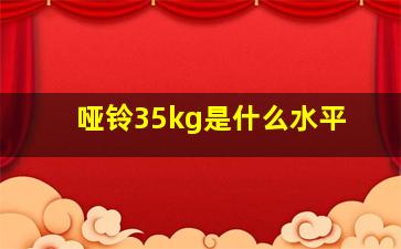 哑铃35kg是什么水平