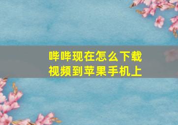 哔哔现在怎么下载视频到苹果手机上