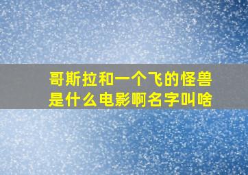 哥斯拉和一个飞的怪兽是什么电影啊名字叫啥