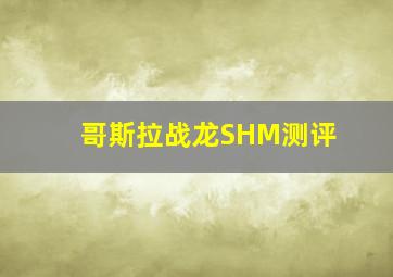 哥斯拉战龙SHM测评