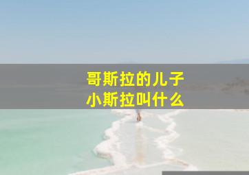 哥斯拉的儿子小斯拉叫什么