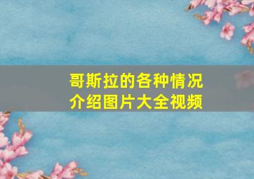 哥斯拉的各种情况介绍图片大全视频