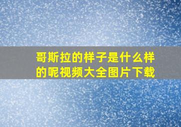 哥斯拉的样子是什么样的呢视频大全图片下载