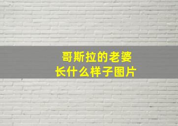 哥斯拉的老婆长什么样子图片