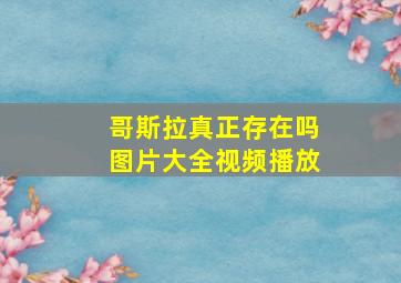 哥斯拉真正存在吗图片大全视频播放