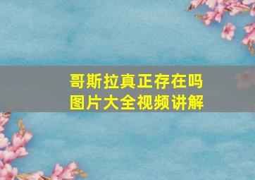 哥斯拉真正存在吗图片大全视频讲解