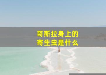 哥斯拉身上的寄生虫是什么