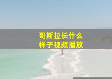 哥斯拉长什么样子视频播放