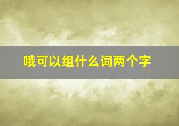 哦可以组什么词两个字