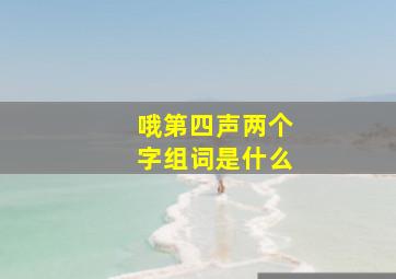 哦第四声两个字组词是什么