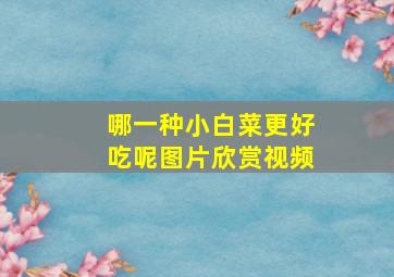 哪一种小白菜更好吃呢图片欣赏视频