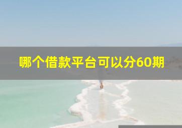 哪个借款平台可以分60期