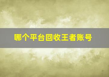 哪个平台回收王者账号