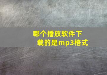 哪个播放软件下载的是mp3格式