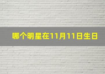 哪个明星在11月11日生日