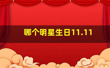 哪个明星生日11.11