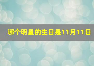 哪个明星的生日是11月11日