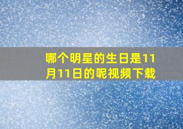 哪个明星的生日是11月11日的呢视频下载