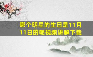 哪个明星的生日是11月11日的呢视频讲解下载