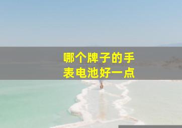 哪个牌子的手表电池好一点