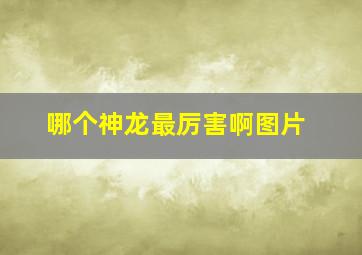 哪个神龙最厉害啊图片