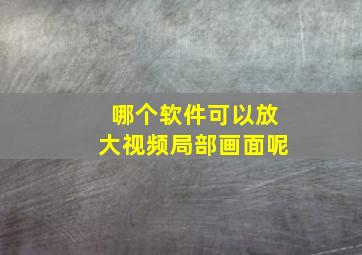 哪个软件可以放大视频局部画面呢