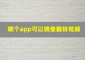 哪个app可以镜像翻转视频