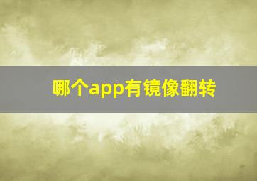 哪个app有镜像翻转