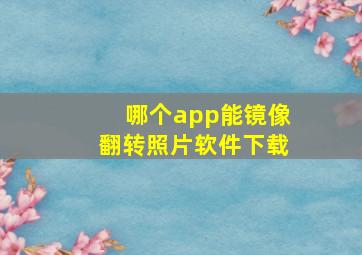 哪个app能镜像翻转照片软件下载