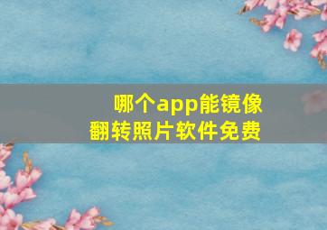 哪个app能镜像翻转照片软件免费