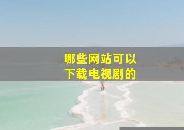 哪些网站可以下载电视剧的