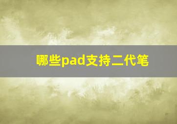 哪些pad支持二代笔