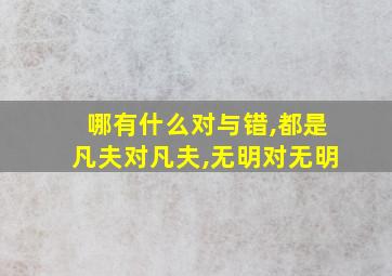 哪有什么对与错,都是凡夫对凡夫,无明对无明