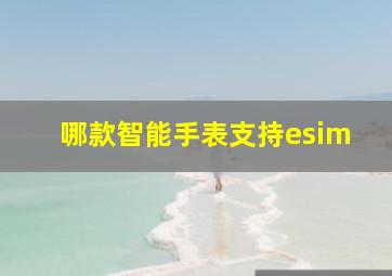 哪款智能手表支持esim