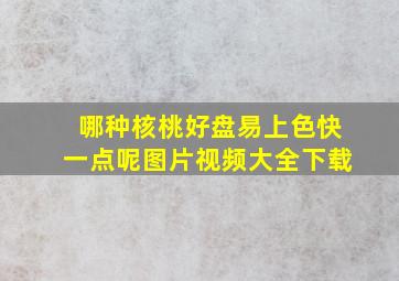 哪种核桃好盘易上色快一点呢图片视频大全下载