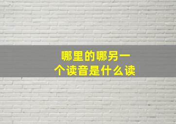 哪里的哪另一个读音是什么读