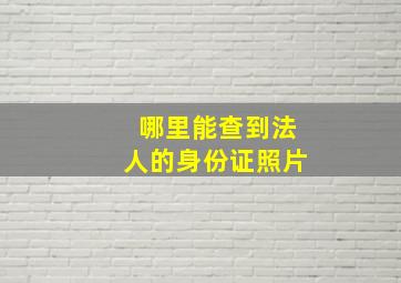 哪里能查到法人的身份证照片