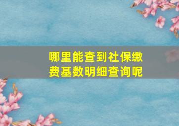 哪里能查到社保缴费基数明细查询呢