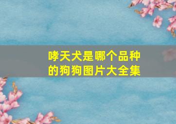 哮天犬是哪个品种的狗狗图片大全集