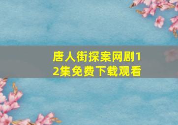 唐人街探案网剧12集免费下载观看